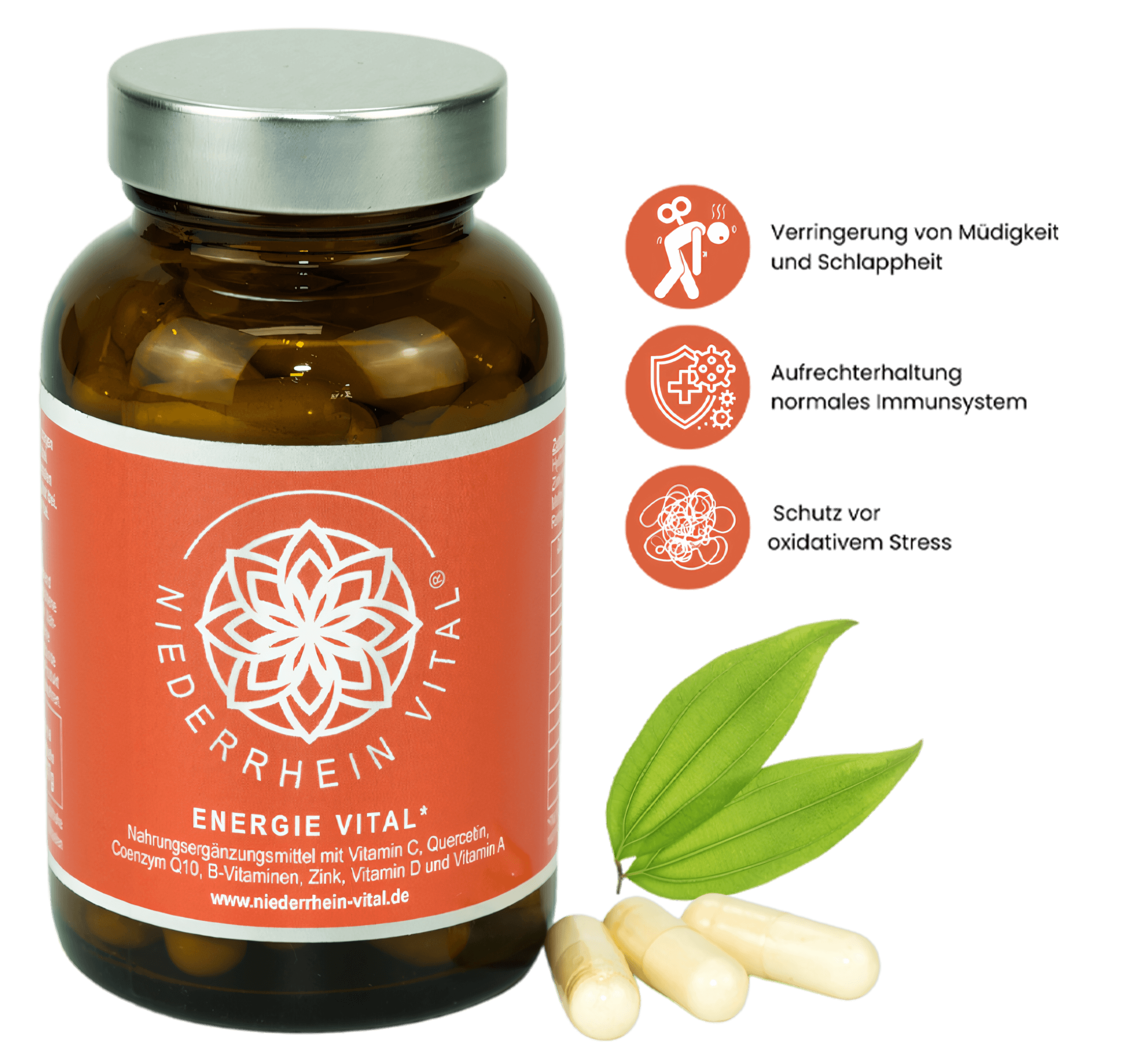 ENERGIE VITAL – Bild 2