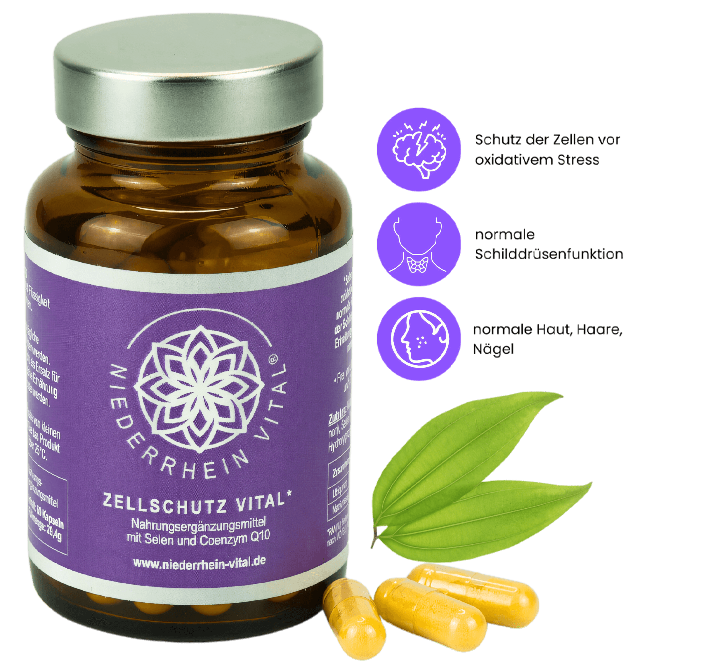 ZELLSCHUTZ VITAL – Bild 2